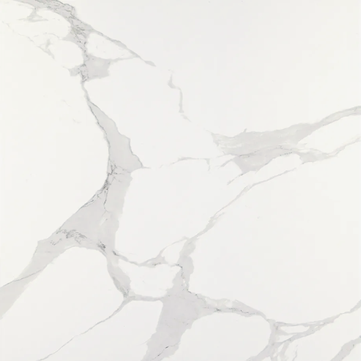 Roman Matt Indoor Wall&Floor Porcelain Tile-800x800mm